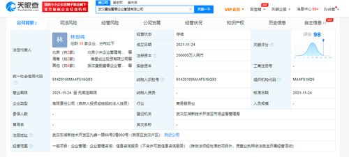 小米斥資20億在武漢成立企業管理公司，雷軍疑似實控人